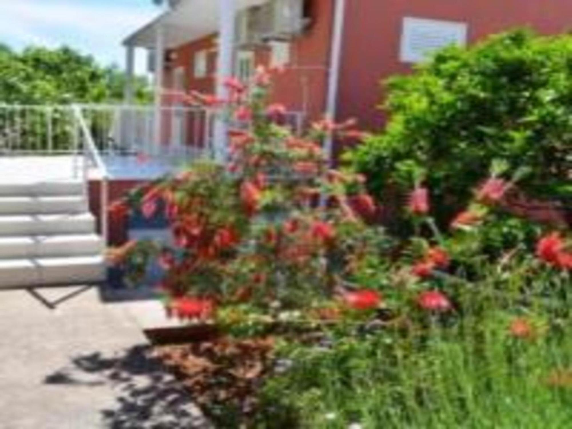 Bleus Apartments Brna Exterior foto